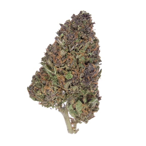 Blue Orchid | CBD