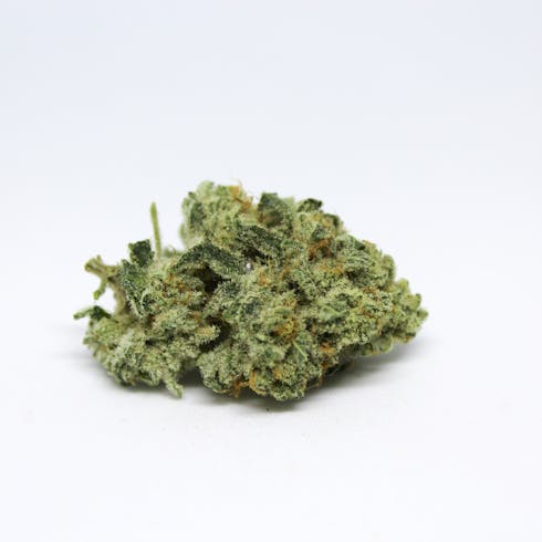 Jungle Diamonds