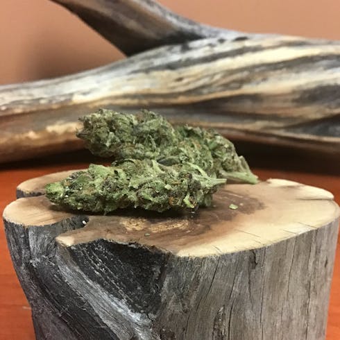 Indoor: Topsanto by Rolen Stone