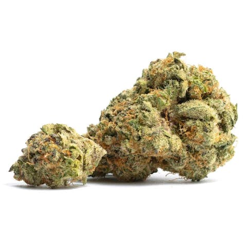 1/8th Cookies - Orange Cookies