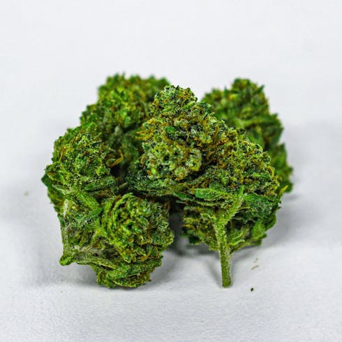 Discount Flower - Super Tang 1/2