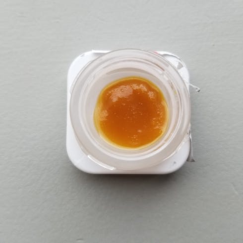 Alien OG Sugar