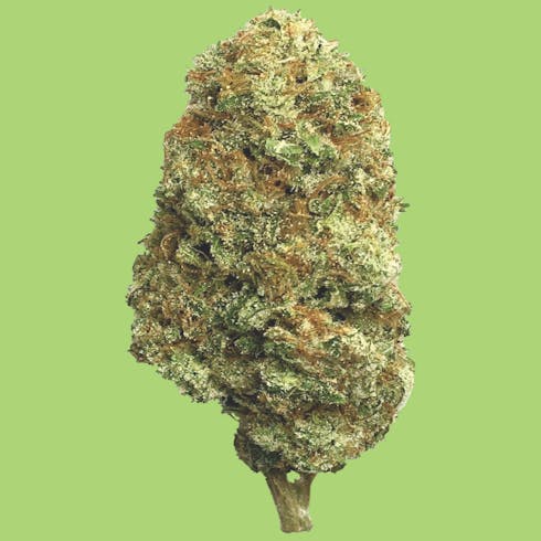 Alien OG