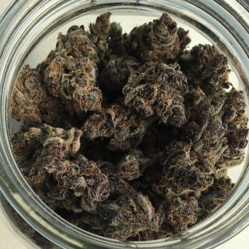 $160oz- Tropicana Cookies (Burk Brothers)