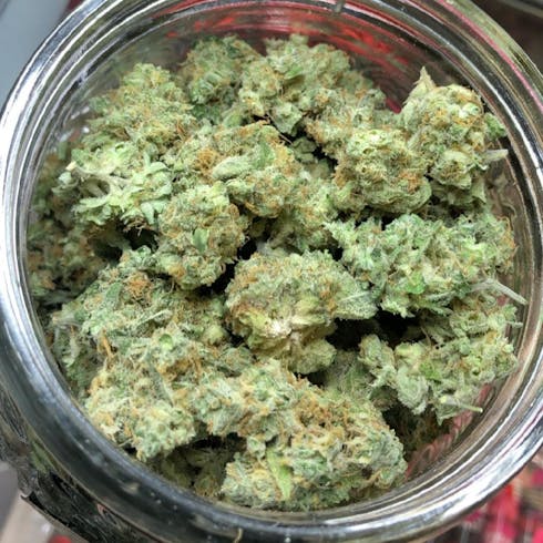 Gold Leaf OG