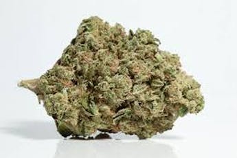 Medical Member OG