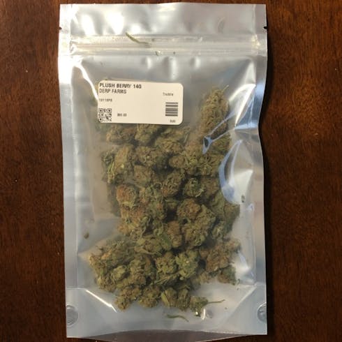 Purple Punch