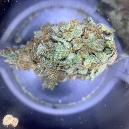 CHEM COOKIE