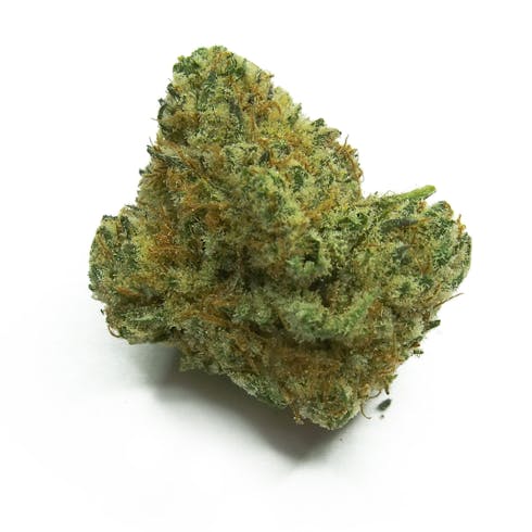 Amnesia Sour Diesel