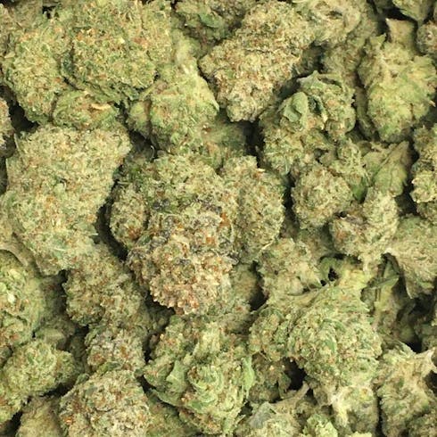 Kirkwood OG