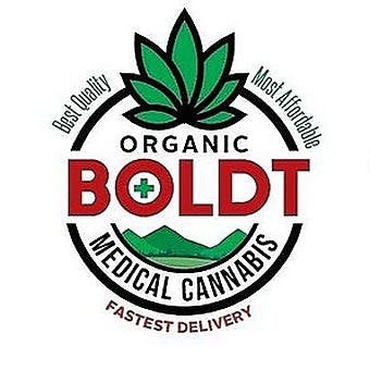 BOLDT - Delivery Only