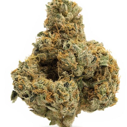 SUPER GLUE
