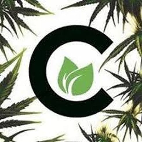 Pre-Soviet Tahoe | Cultivate | Flower