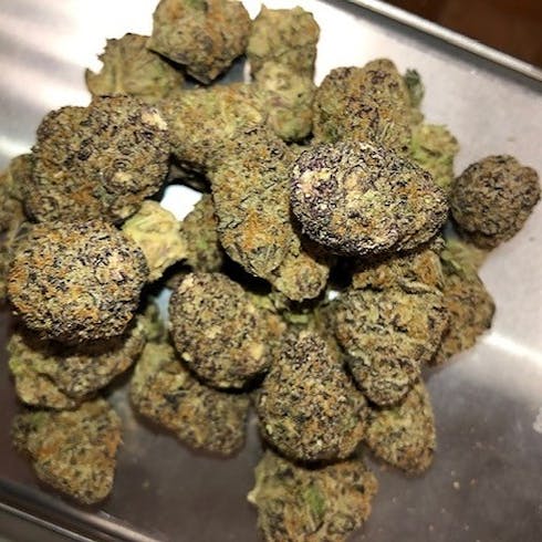 Purple Punch-Bulk Flower