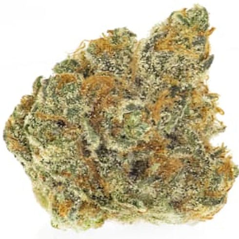 REC: Banana Fire Cookies - The Plant