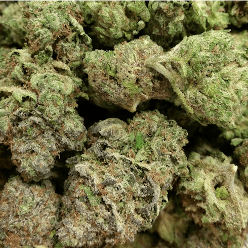 Mint Julip (TAX INCLUDED)
