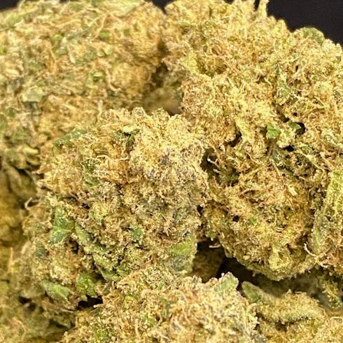Durban Poision