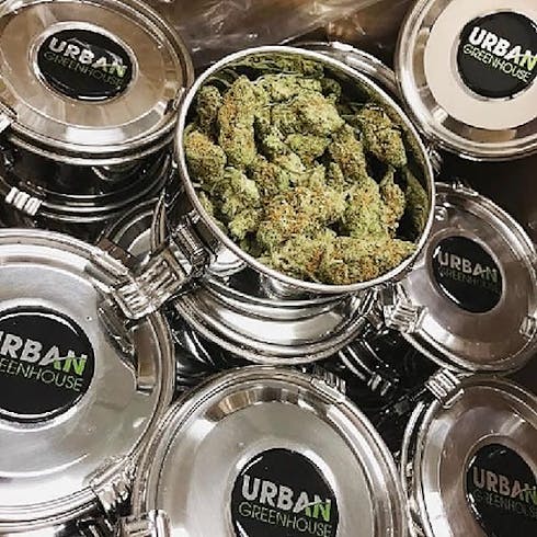 Lemon Sugar Kush C-Vault (UGD Premium)