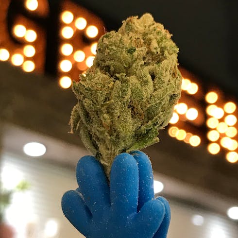 Mohave Bulk Flower:Valley OG