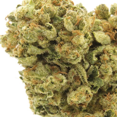 WHITE TAHOE COOKIES | FRONTIER FARMS