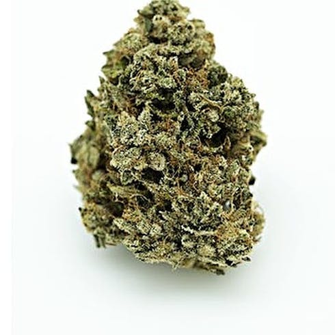 Tahoe OG x Traingle Kush by Grow West