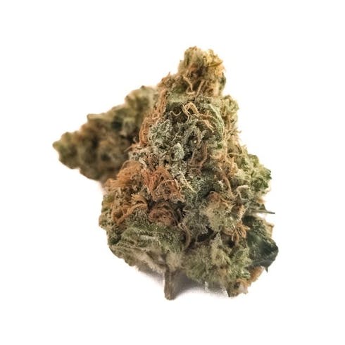 Cinderella 99 (70/30 Sativa)