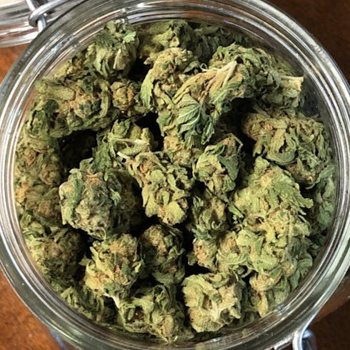 Guava