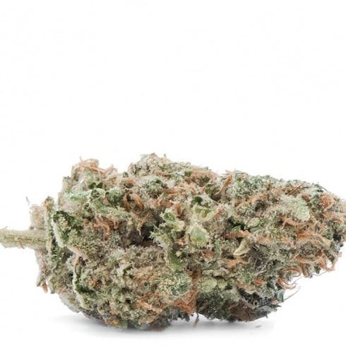 KeyLime Pie | HQ Farms