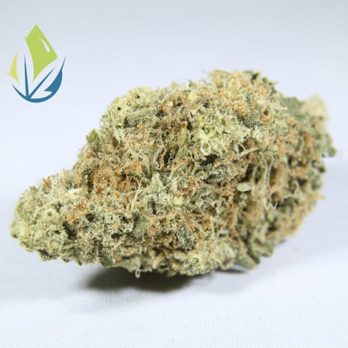 TrainWreck