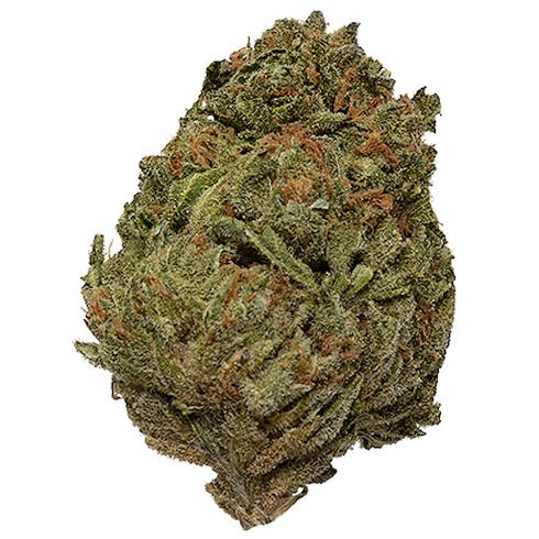 $12 - Sweet Critical