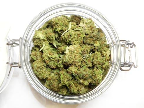 Chem Cookies Economy by Rainwater Farms