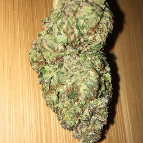 Stash Plant ~ Indica