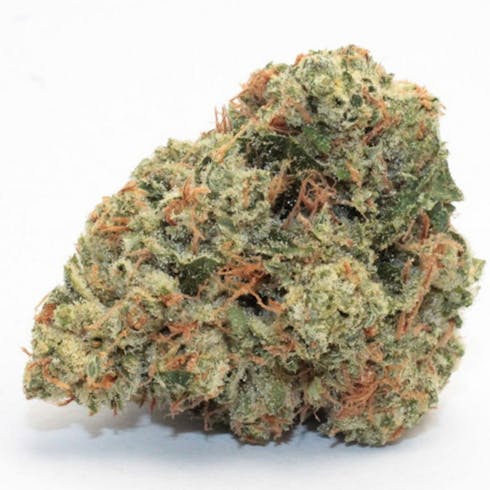 OG Kush by Cannabis Nation
