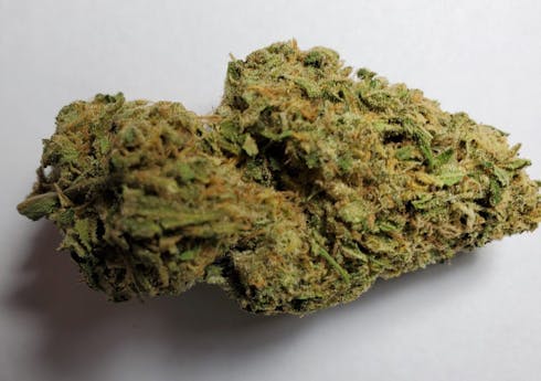 $99 Oz - Ice Cream Man (Cascadia)
