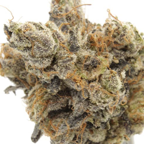 WATERMELON GELATO | EUGREEN