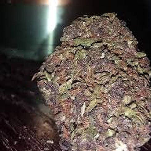 Jager (Sungrown) Indica Hybrid