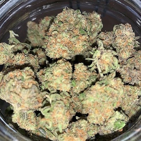 Peyote Purple