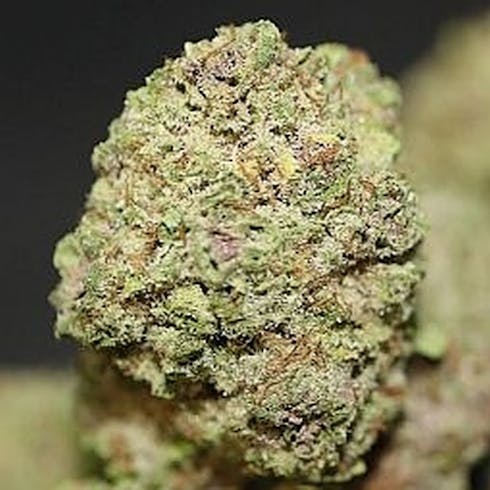 Blackberry Fire