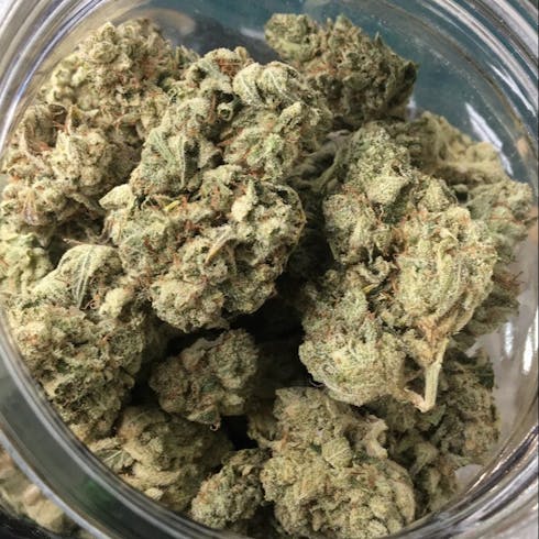 $160oz- Sticky Glue (Excolo)