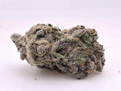 Tropicana Cookies