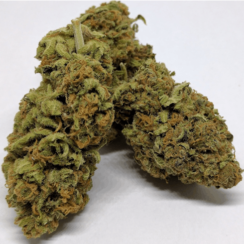 CBD Critical Mass