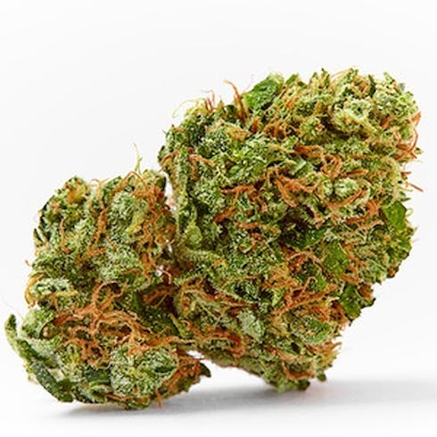 GOLDEN GOAT
