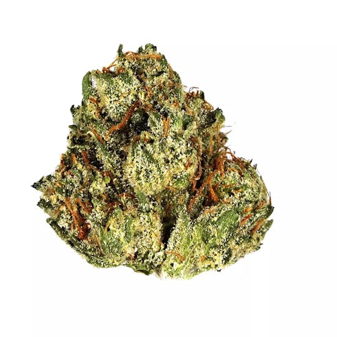 Rocket Fuel | Cannabis Nation
