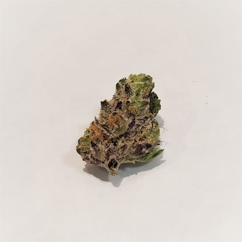 Dr. Who (Private Reserve)