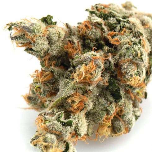 Confusion Kush