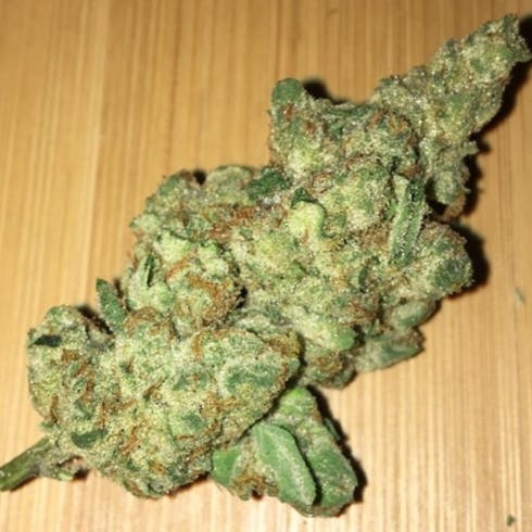 Crescendo Sour Cookies ~ Indica Hybrid