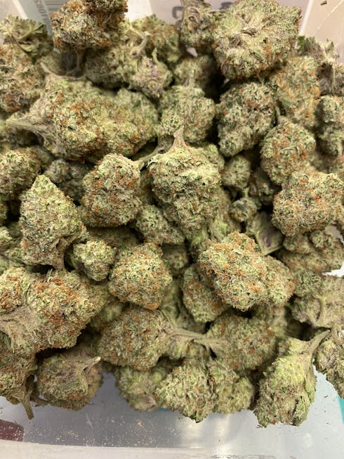 Stardawg (Rec)