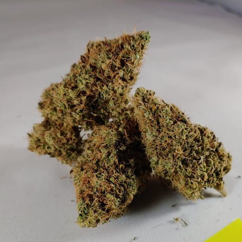 D95 #6 (50/50 Hybrid) (1/8 OZ Only) *New*