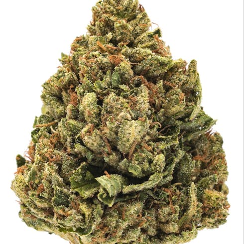 SFV OG