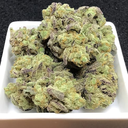 Strawberry Hash Plant by White and Company